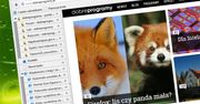 Chrome z bocznymi panelami? Tak, o ile powstaną odpowiednie rozszerzenia