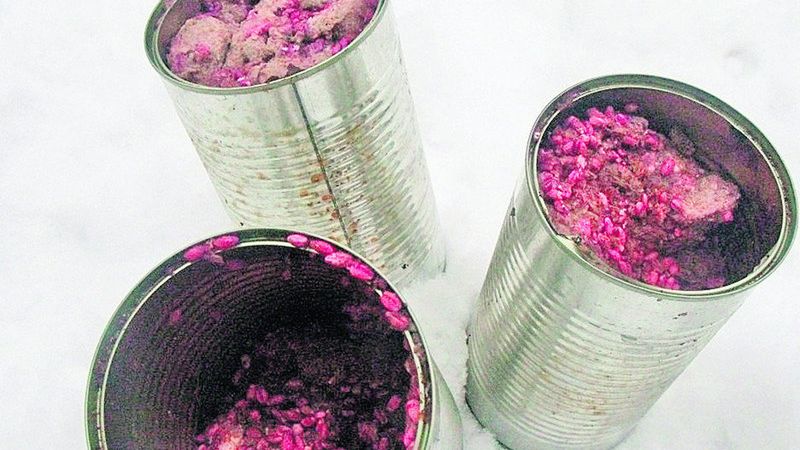 Zatrute jedzenie ktoś rozłożył na Krzemionkach