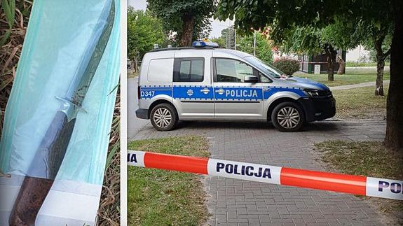 zdjęcie