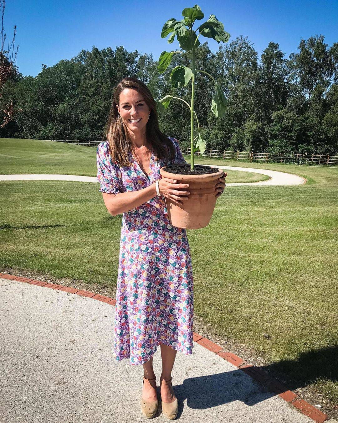 Księżna Kate sadzi drzewa dla hospicjów