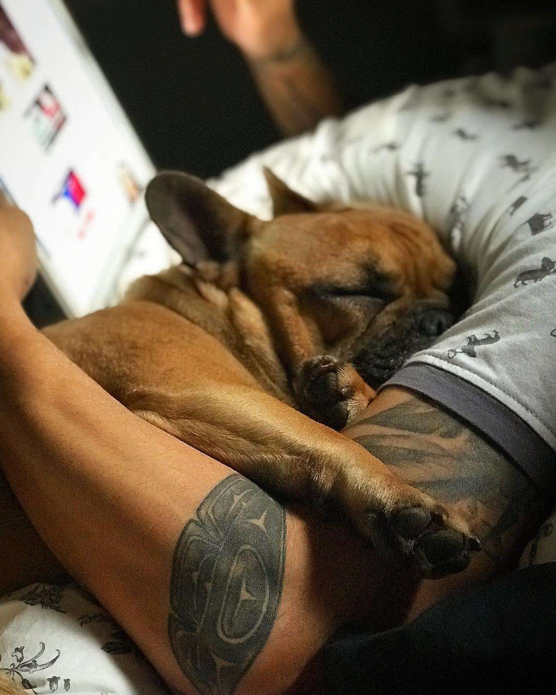 Radosław Majdan w łóżku z ukochaną buldożką Małgorzaty Rozenek