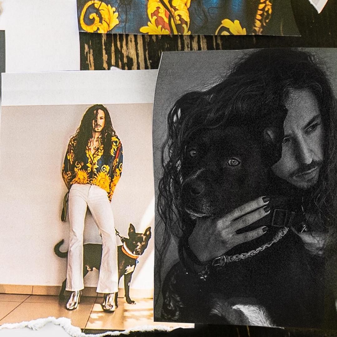 Michał Szpak adoptował psa