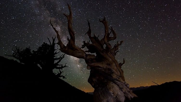 HD z Sieci: TimeScapes Rapture 1