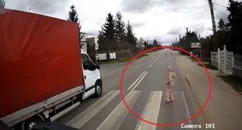 Wyprzedzał przed przejściem dla pieszych. Czujność dziecka zapobiegła tragedii WIDEO