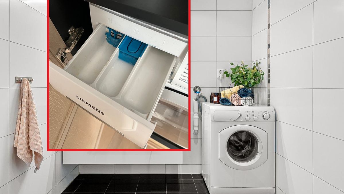 Co wsypać do każdej przegrody w pralce?