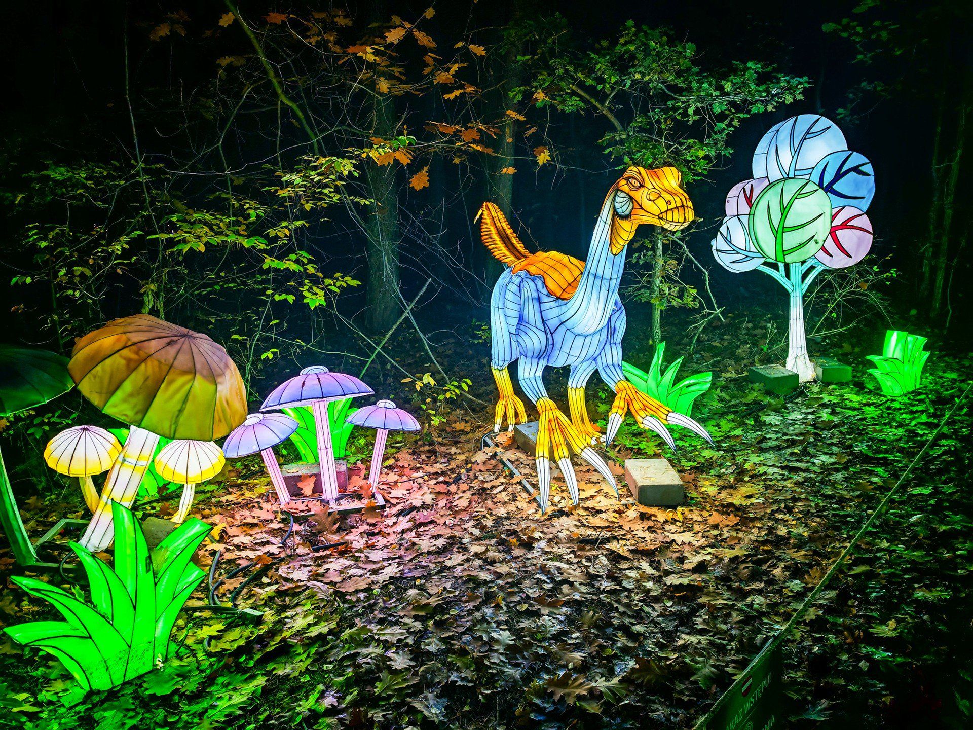 Lumina Park w Bydgoszczy - zdjęcia z sezonu 2025/2026.