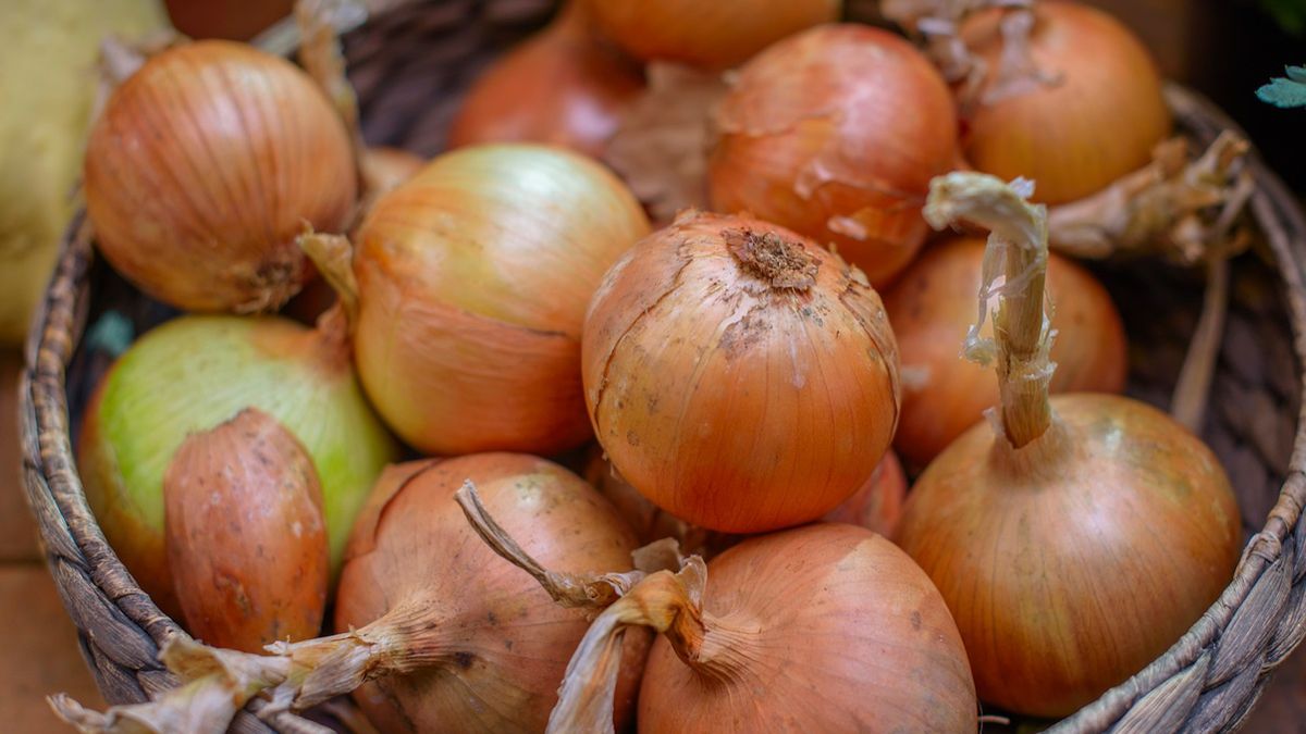 Sposoby na przechowywanie cebuli