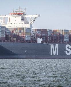 Katastrofa kontenerowca. Państwo żąda ogromnego odszkodowania