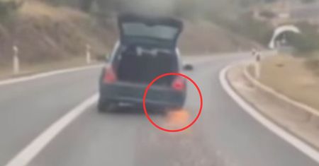 "Przejechał kilka kilometrów". Polak pokazał nagranie z Chorwacji