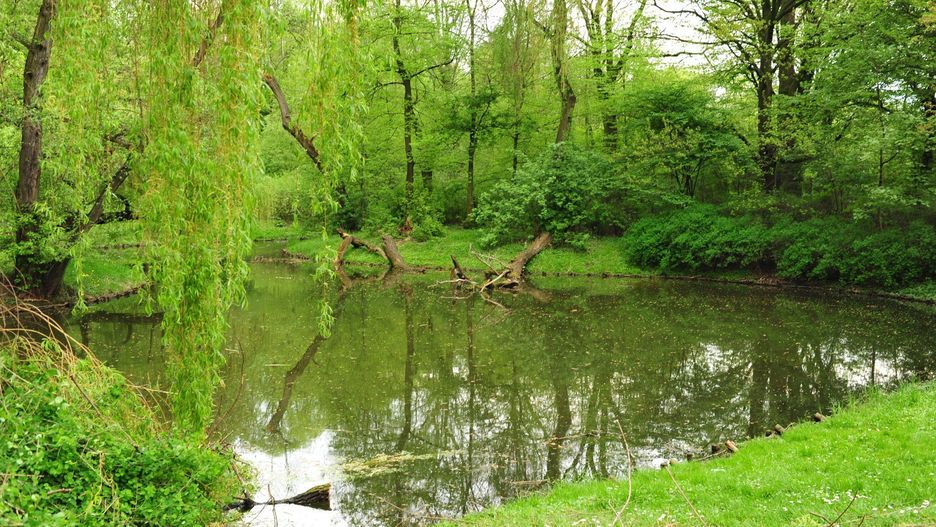 Park Skaryszewski