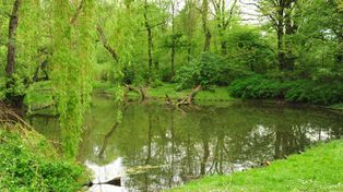 Warszawa: Park do odświeżenia. Za moment ruszą pracę. W planach sporo nowości