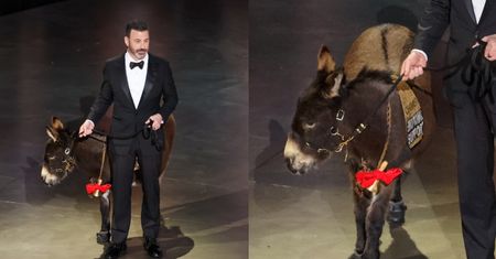 Internauci OBURZENI ściągnięciem oślicy na Oscary 2023! "Widać, że jest przerażona i bardzo chce zejść ze sceny"