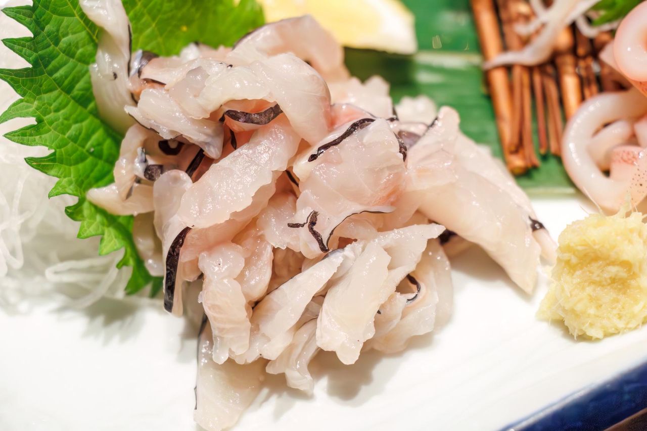 Uważaj na tę rybę. GIS ostrzega przed alternatywą dla karpia