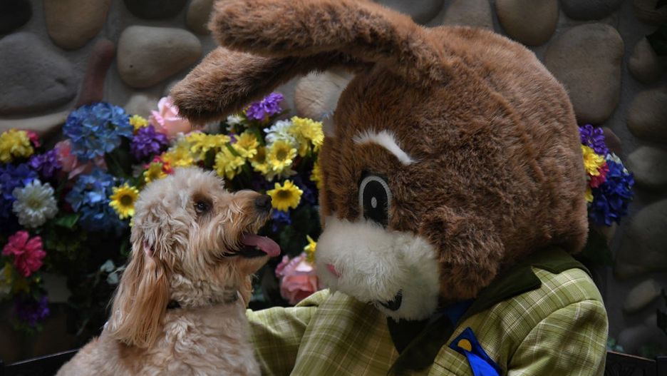 Wielkanoc 2020. Te święta będą inne niż wszystkie