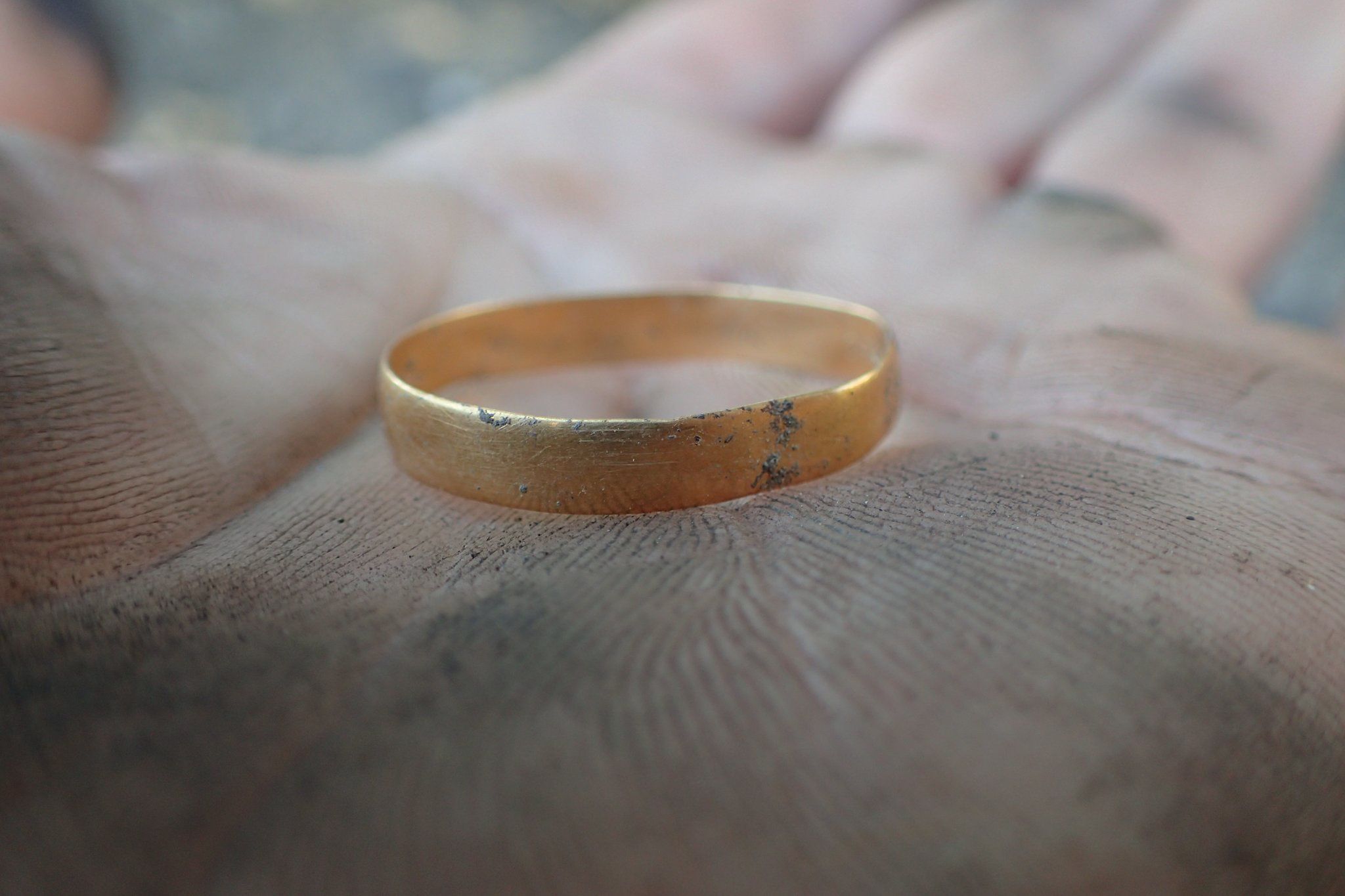 Odkrycie w Pleśnicy