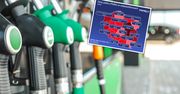 Polacy czekali na ostatni krok rządu. Oto ile teraz jeszcze płacą za paliwa