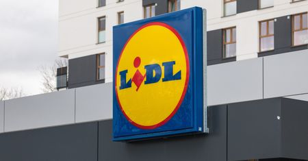 Lidl wprowadza do oferty telewizor Toshiba. Dostępny w świetnej cenie