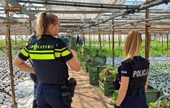 Pojechali na służbę za granicą do fabryk, w której pracują Polacy. Usłyszeli takie słowa