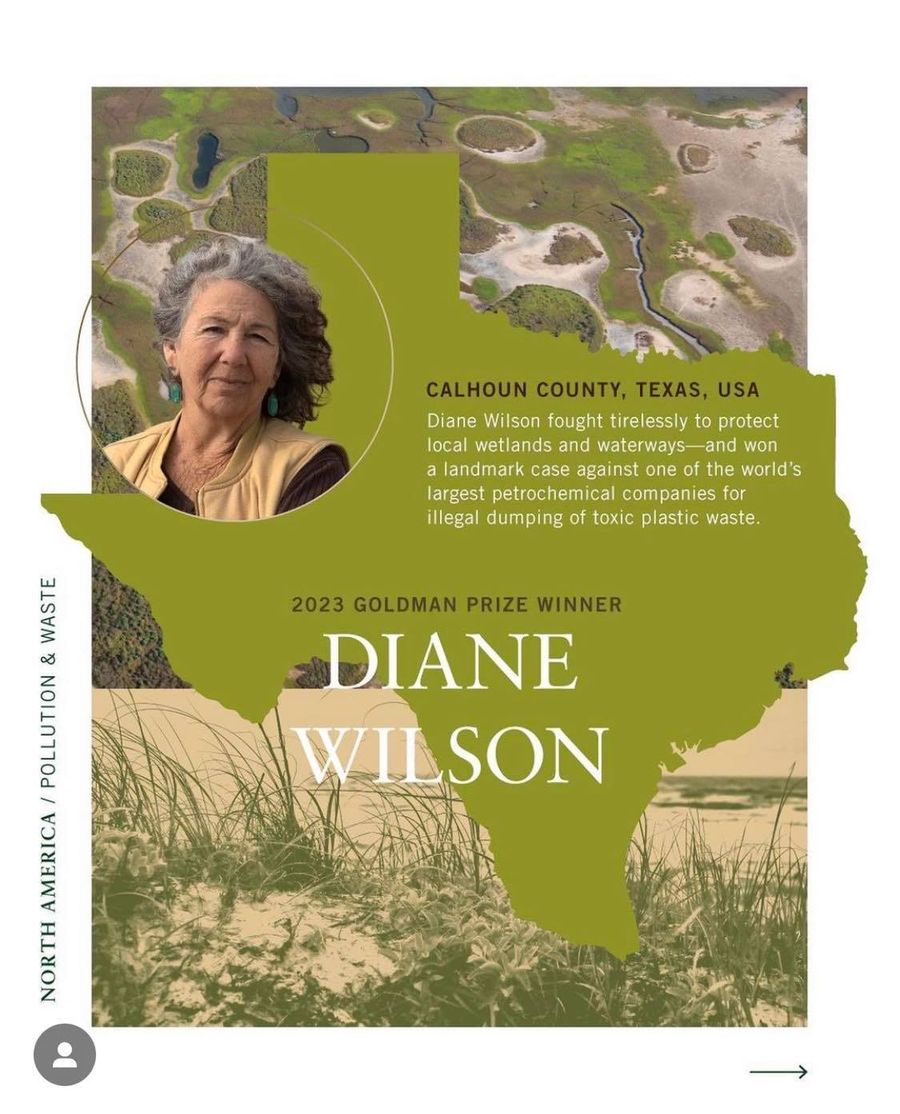Diane Wilson, laureatka "Zielonego Nobla"