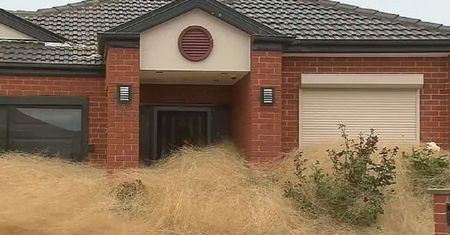 "To kompletna katastrofa". Obłędny widok w Australii. Natura ukazała swoją siłę