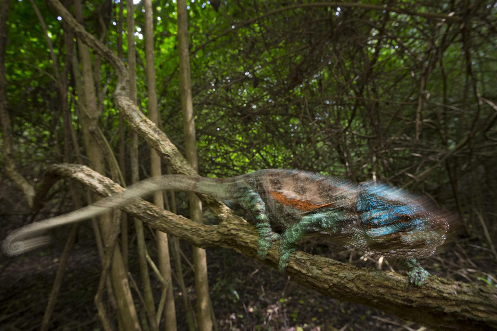 Znamy wyniki World Press Photo 2015. Oto najlepsze fotografie prasowe minionego roku 28