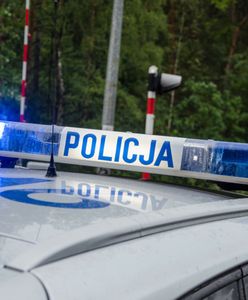 Polak ukrywał się 12 lat. Policjanci zadali mu jedno pytanie