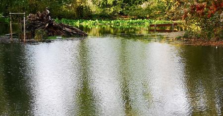 Wrocław. Park Wschodni pod wodą. Przypomina jezioro