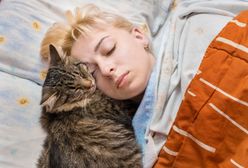 Twój kot nie daje ci spać w nocy? Znamy powód