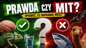 QUIZ: Prawda czy mit? Tylko najlepsi zdobędą 15 punktów