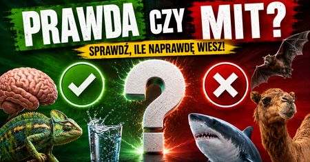 QUIZ: Prawda czy mit? Tylko najlepsi zdobędą 15 punktów