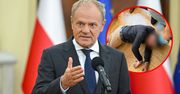Tusk o zabójstwie Rosjanina. "Nie muszę nikogo przekonywać"