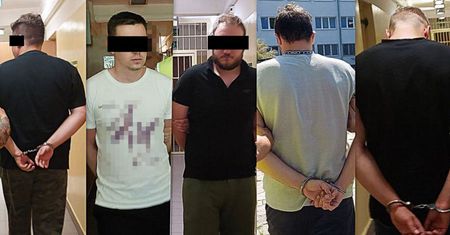 Zatrzymani za treści pedofilskie. Mężczyźni usłyszeli zarzuty