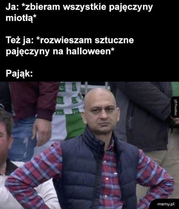 Halloween 2024, memy (Memy.pl)