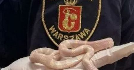 Warszawa. Nietypowy finał spaceru na Gocławku