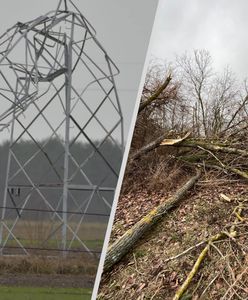 Trąba powietrzna w Wielkopolsce. Słupy zgięte w pół. Pokazano zdjęcia