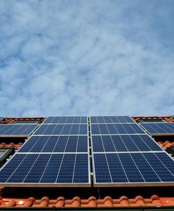 Koszt fotowoltaiki w 2022r. – sprawdź, z jakimi firmami zrealizujesz swoją instalację