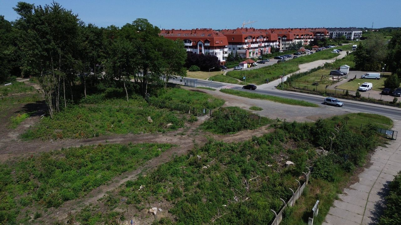 To już oficjalnie. Drogowcy domkną "ring" na granicy Wrocławia. Wschodnia obwodnica ma być gotowa do 2028 roku. Podpisano umowę na budowę