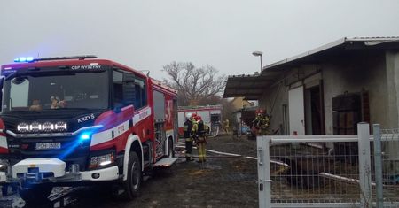 W płomieniach zginęło 100 prosiąt i 14 macior