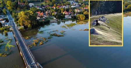 To nie fotomontaż. Pojawiły się na wale przeciwpowodziowym