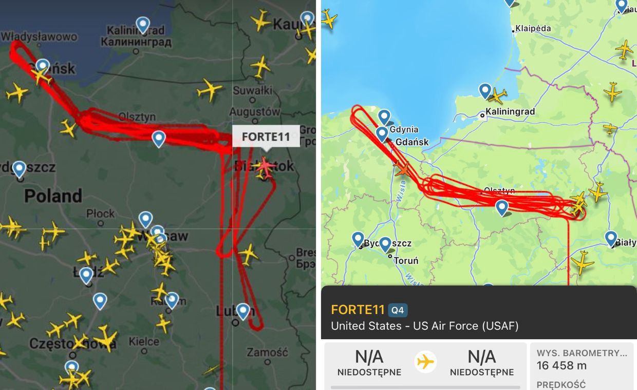 Mapa czerwona od kursów. "Niecodzienny gość nad Polską"