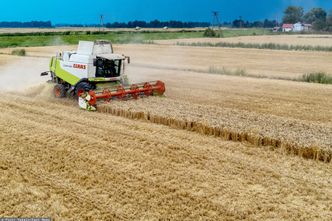 Zakaz importu zbóż z Ukrainy. Polska może postawić się Unii Europejskiej