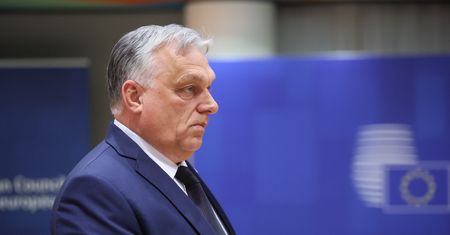 "Lis na czele kurnika". UE ma plan dla Ukrainy