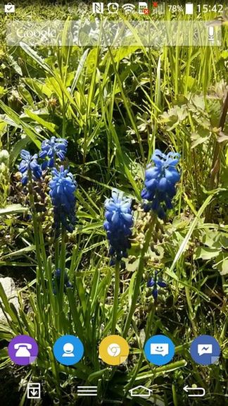 Weekendowy Zestaw Gier i Aplikacji: Worms 3, GO Launcher Prime za darmo i Sunrise Calendar 3