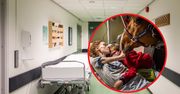 Koń Peyo odwiedza pacjentów. Zwierzę jest wyczekiwanym gościem na oddziale