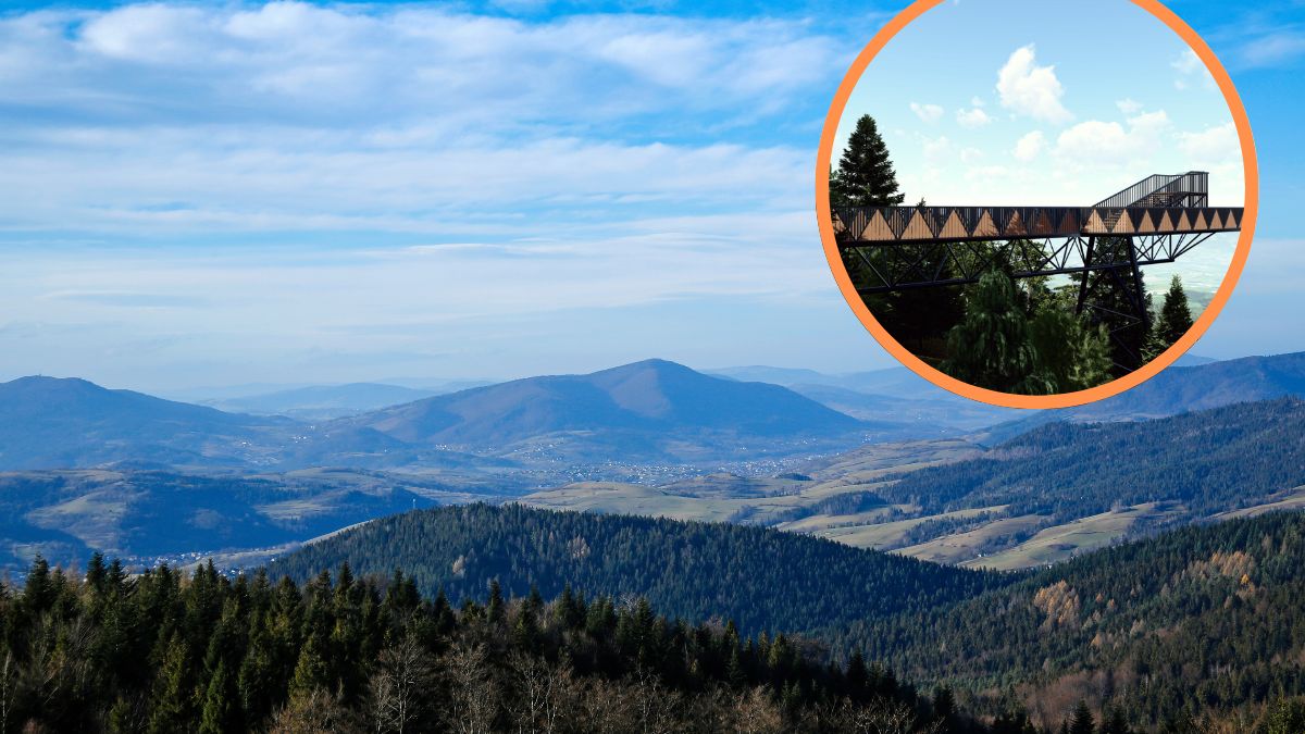 Taras widokowy w Beskidzie Wyspowym.