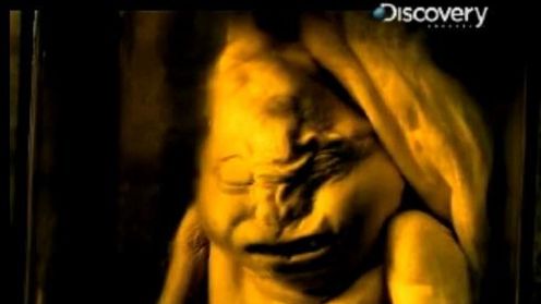 Muzeum Mutantów w Amsterdamie 1