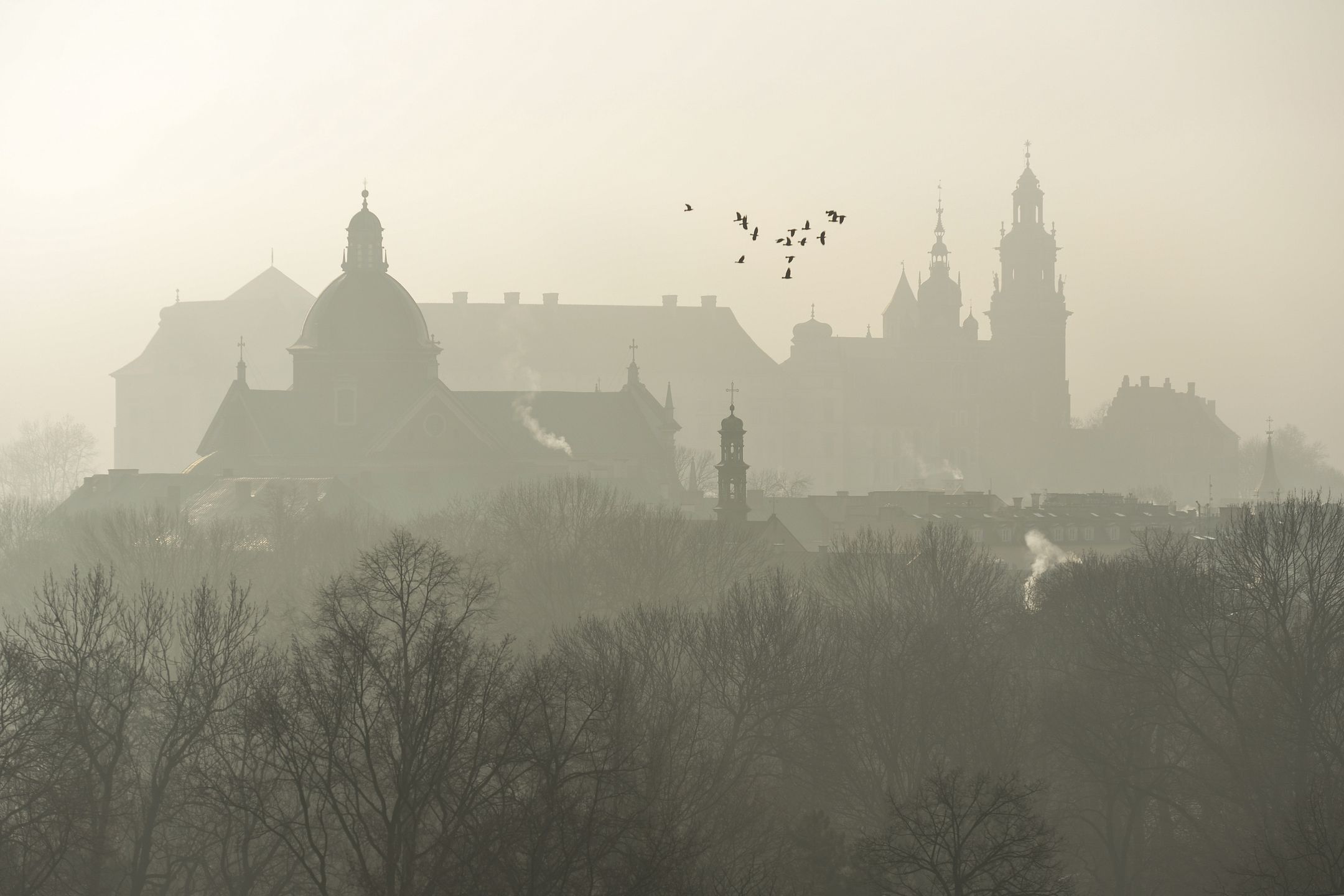A view of Krakow's Wawel Royal Castle, during a smog alert on January 14, with the air quality index (AQI) for PM2.5 over 150. On January 14, 2020, in Krakow, Poland. (Photo by Artur Widak/NurPhoto via Getty Images)