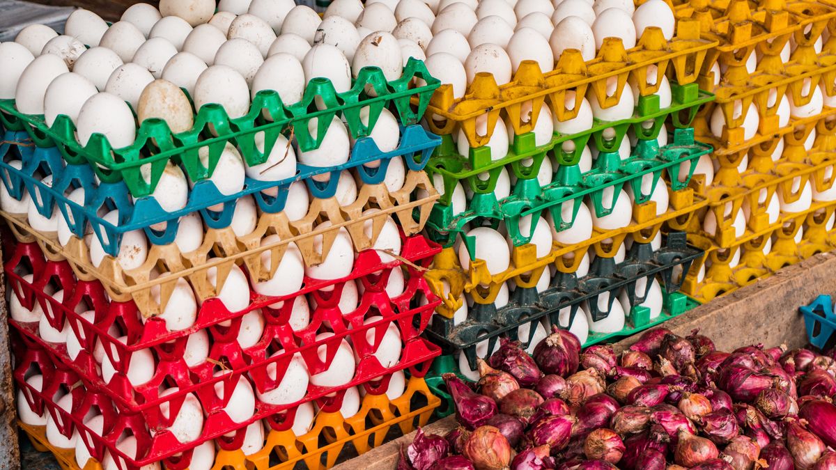 Polska jest kluczowym eksporterem jaj do Niemiec. Zdj. ilustracy