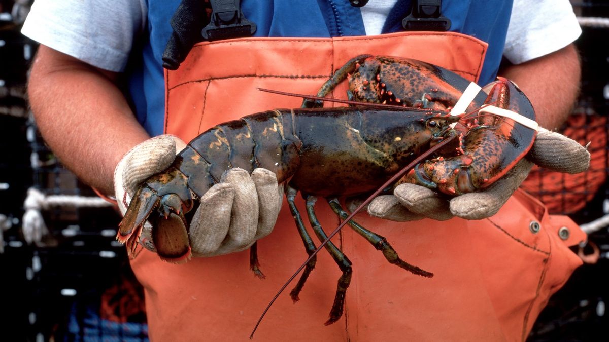 Chińskie konta na Twitterze rozpowszechniały dezinformację na temat powiązania COVID-19 z homarami