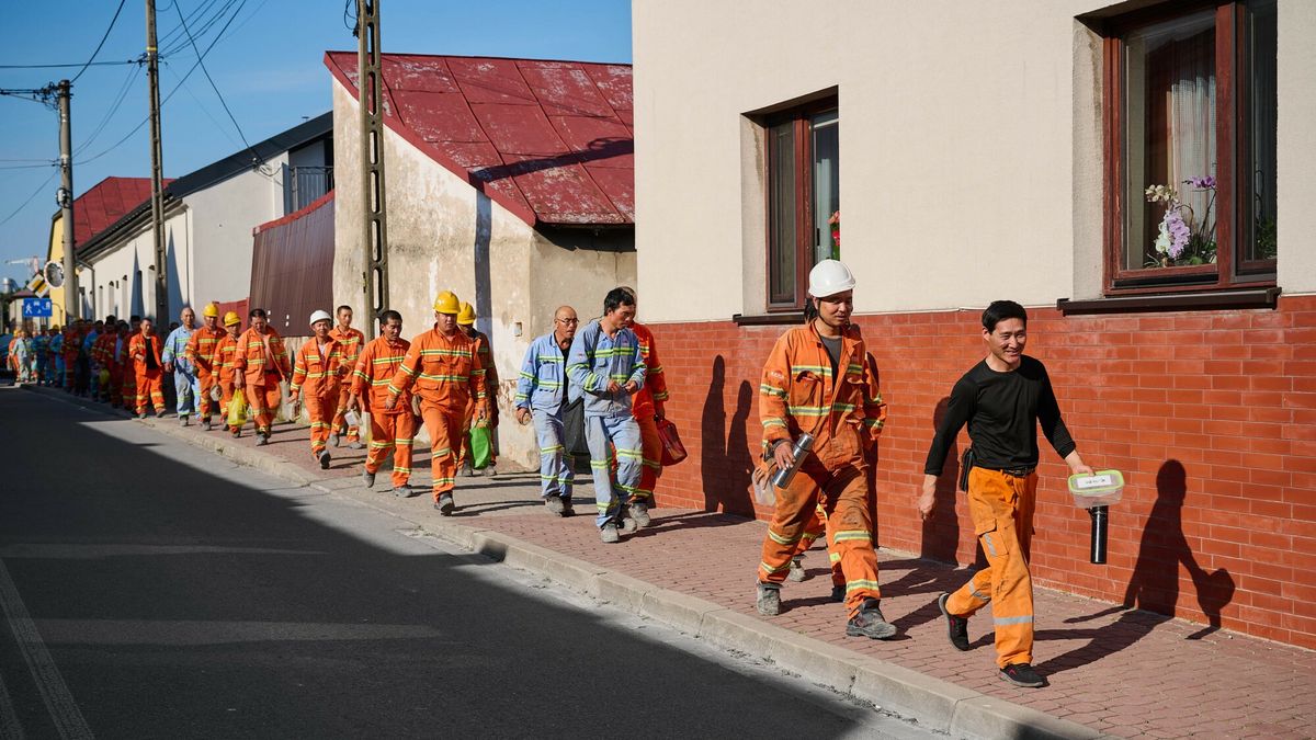 Małogoszcz miejscowość w województwie Świętokrzyskim, gdzie chińscy pracownicy rozbudowują Cementownie francuskiego koncernu Lafarge.